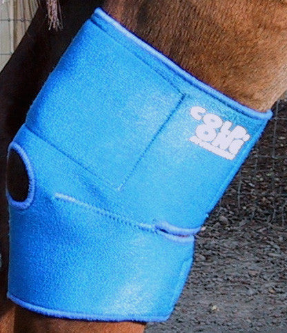 Equine Hock, Hoof and Knee Ice Compression Wrap by Cold One®